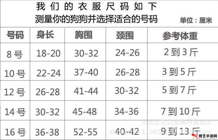 无人区码尺码制定过程：从需求到标准的确立