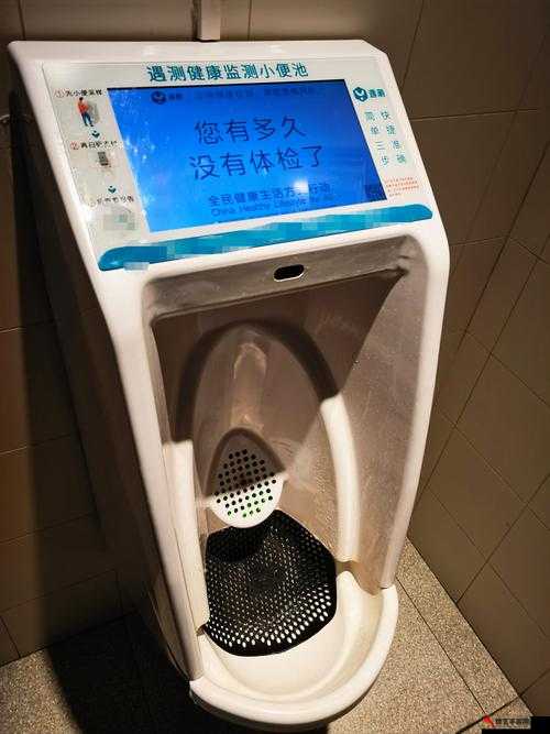 中国 WC 厕所偷窥撤尿：保护个人隐私，维护社会秩序